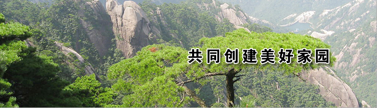 銳意進(jìn)取 勇于創(chuàng)新